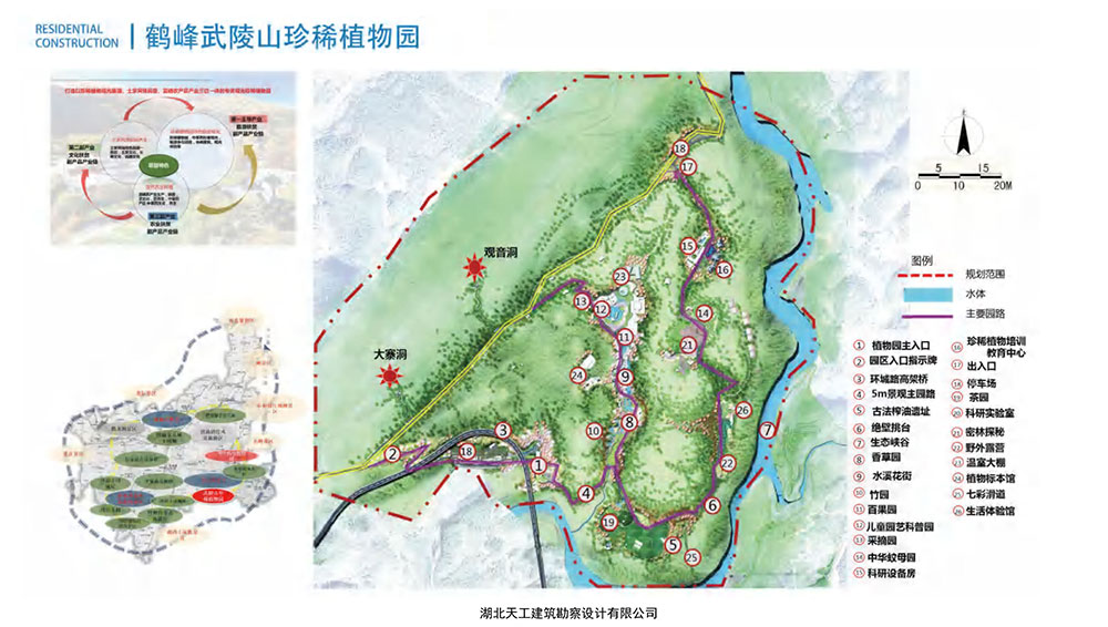 【文旅项目】鹤峰武陵山珍惜植物